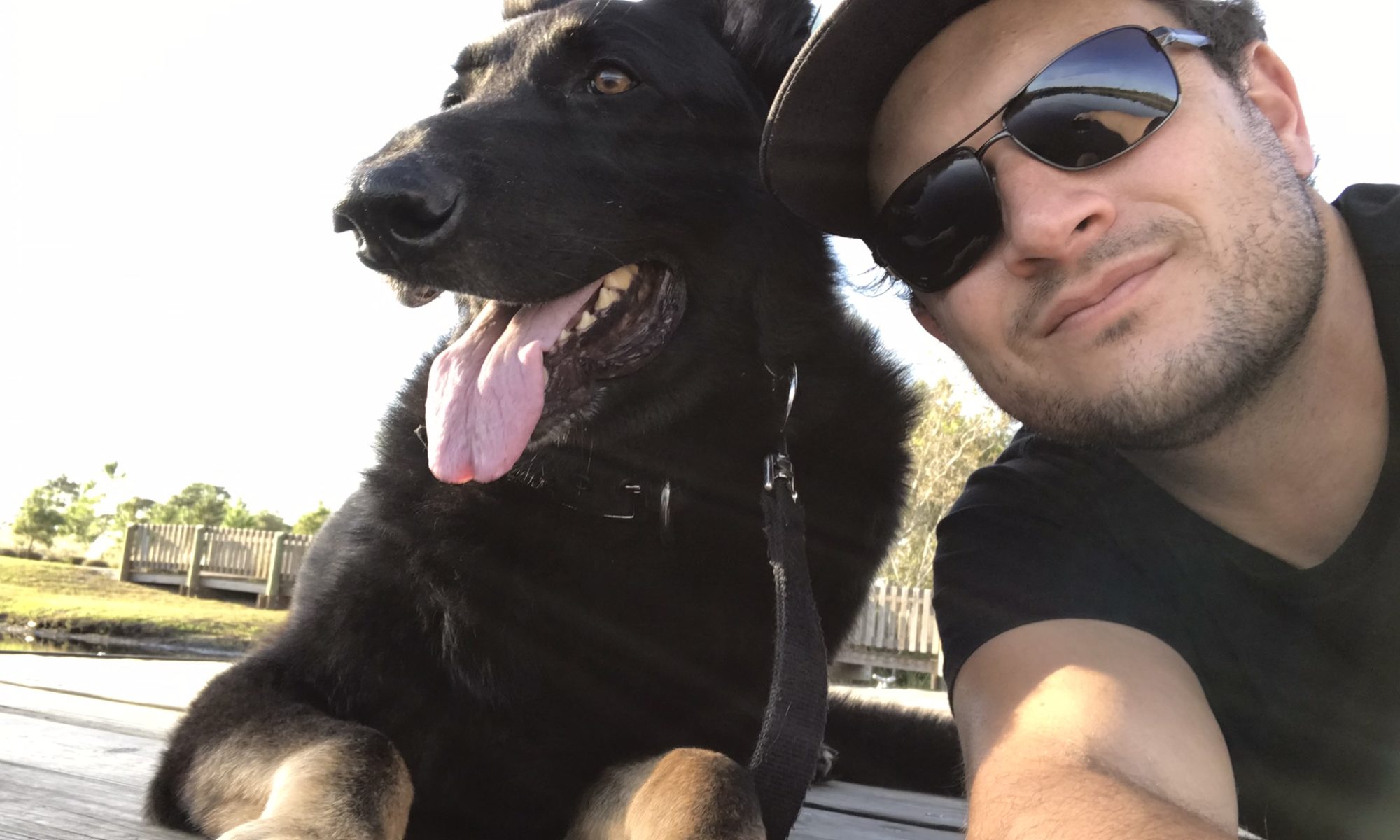 InHome Dog Trainer in Frederick MD Confetti Dogs